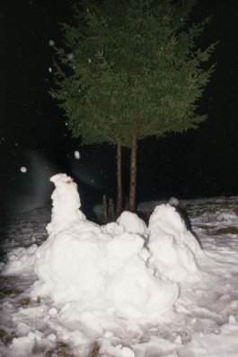 A—Z DAS DEUTSCHLANDMAGAZIN