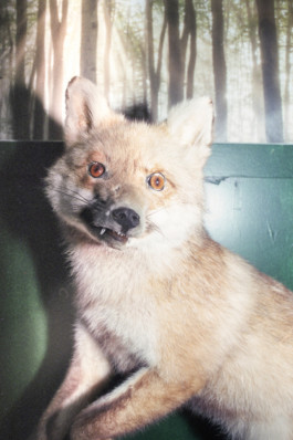 A—Z DAS DEUTSCHLANDMAGAZIN