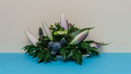 Blumen Vietdeutsche Linh Tran