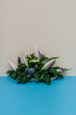 A—Z DAS DEUTSCHLANDMAGAZIN